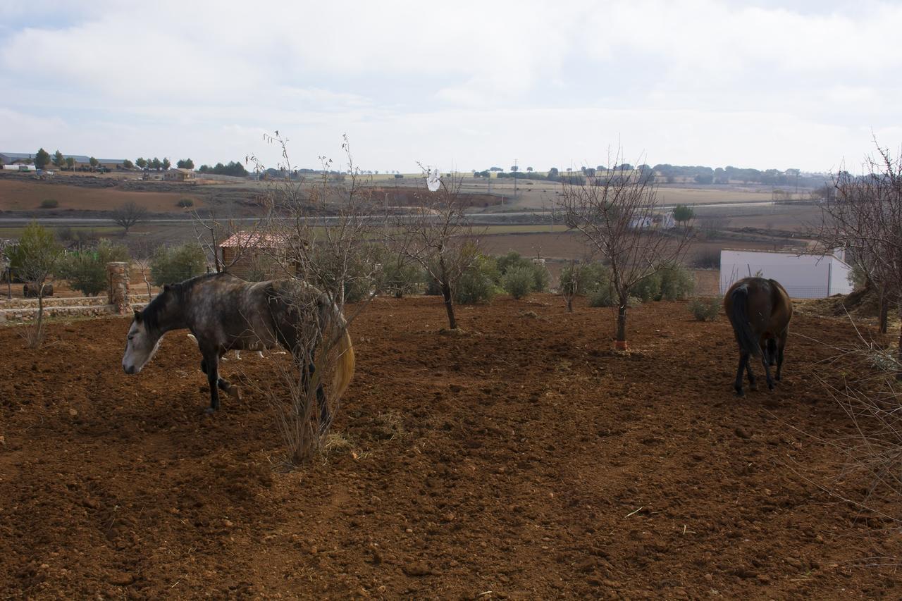 אוסה דה מונטיאל El Retiro De Cervantes מראה חיצוני תמונה